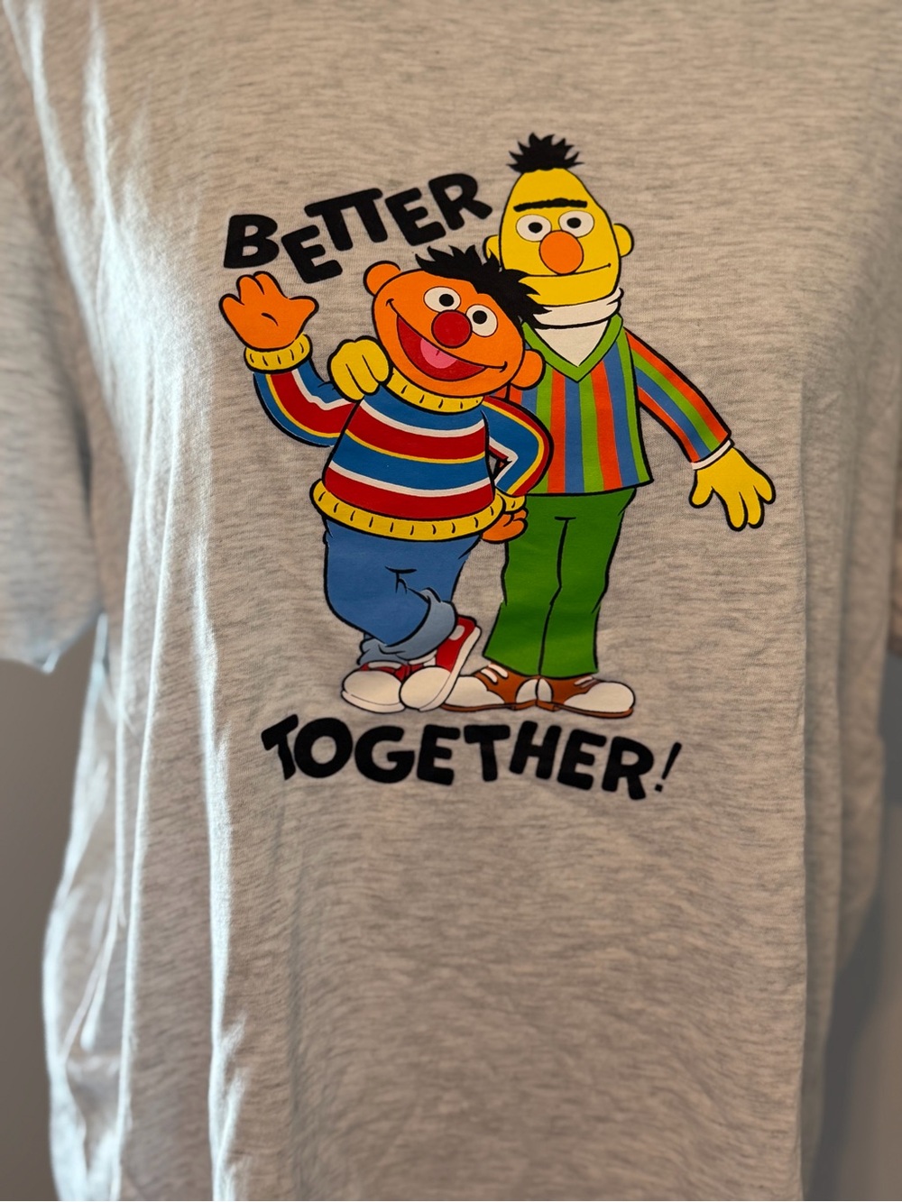 PEACE COLLECTIVE Bert & Ernie ‘Better Together’ T-Shirt size L | Gray - Picture 2 of 6